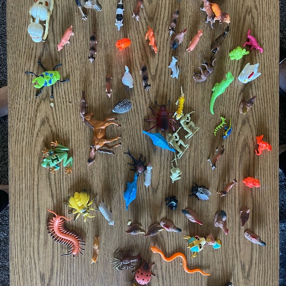 Toy - Picture 5 of 5